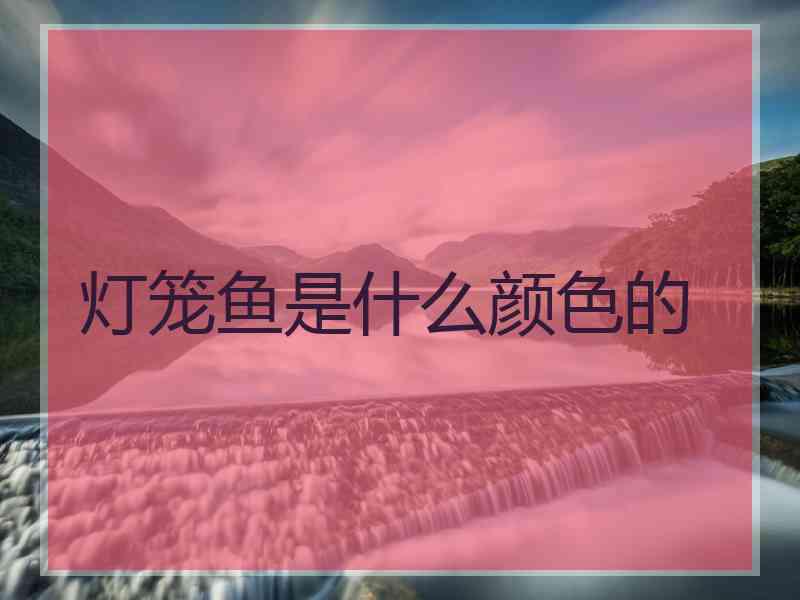 灯笼鱼是什么颜色的