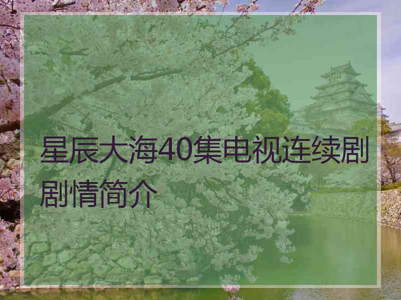 星辰大海40集电视连续剧剧情简介