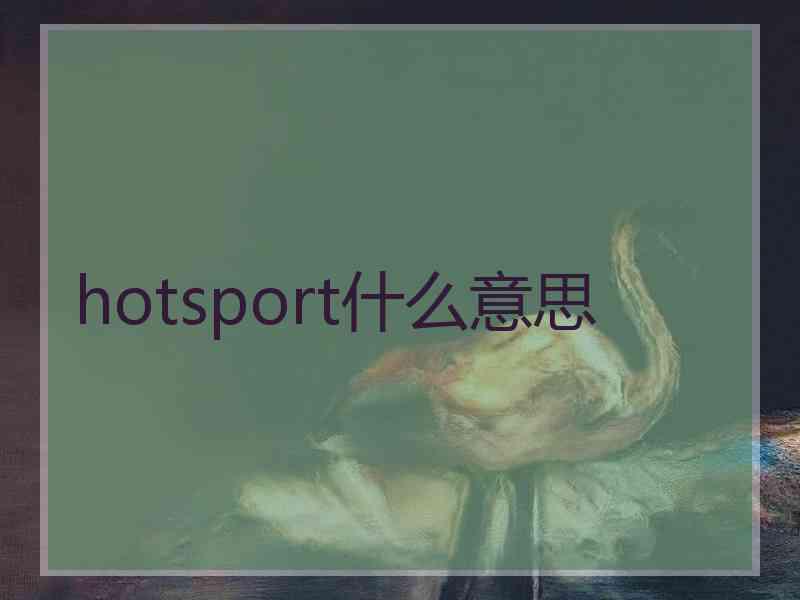 hotsport什么意思