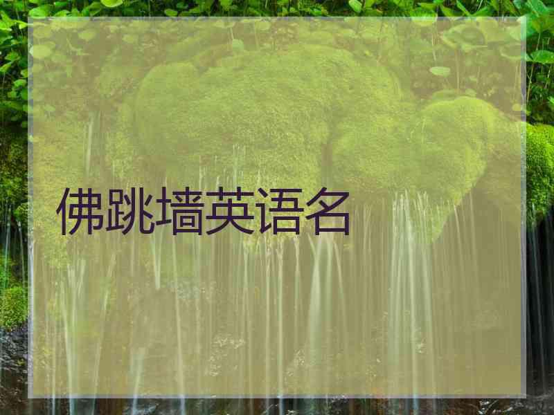 佛跳墙英语名