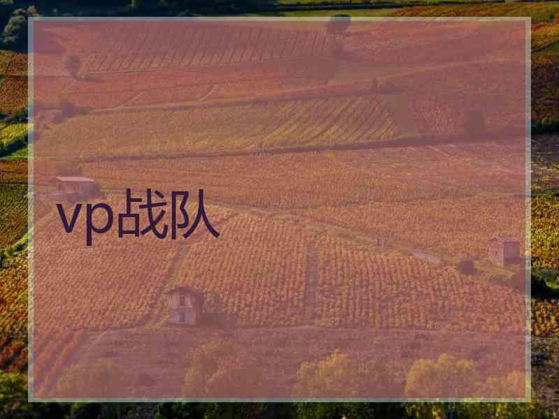 vp战队