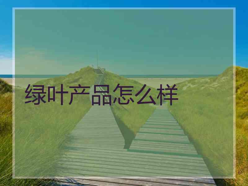 绿叶产品怎么样
