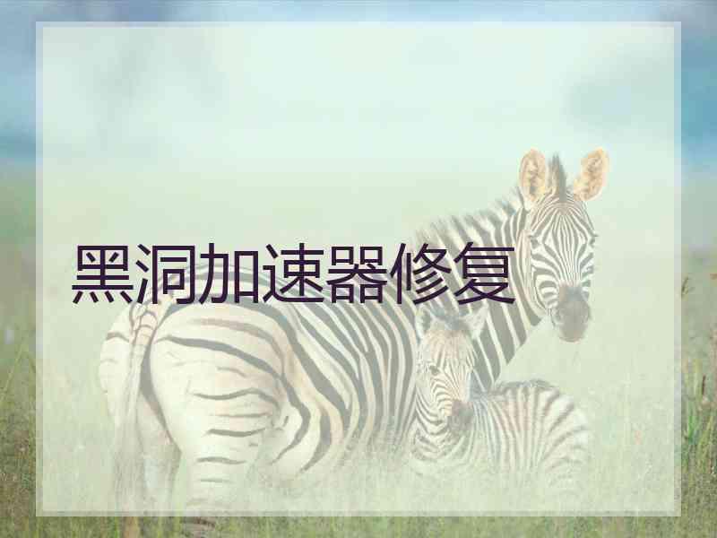 黑洞加速器修复