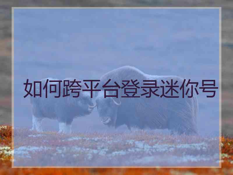 如何跨平台登录迷你号