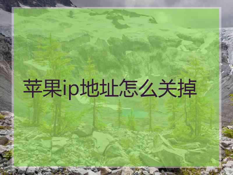 苹果ip地址怎么关掉