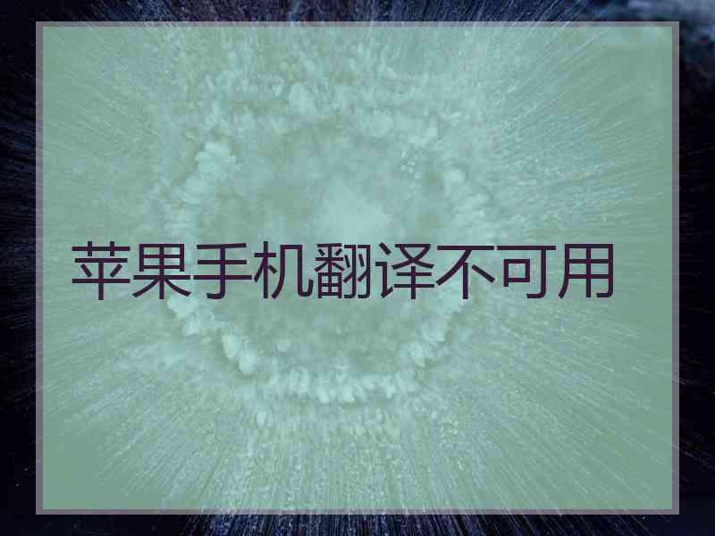 苹果手机翻译不可用