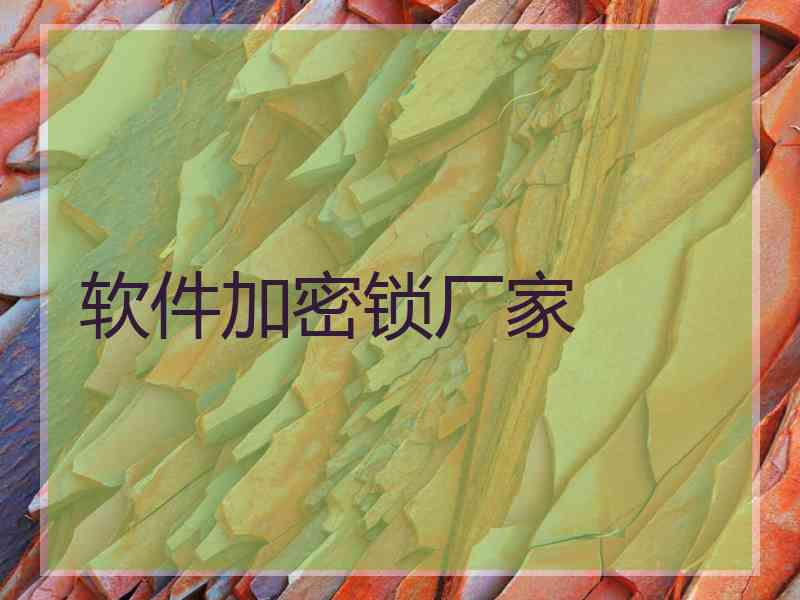 软件加密锁厂家