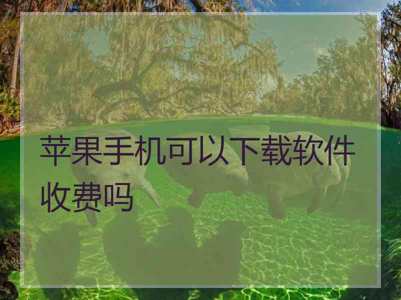 苹果手机可以下载软件收费吗