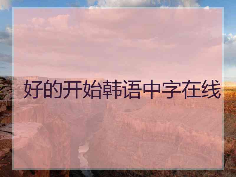 好的开始韩语中字在线