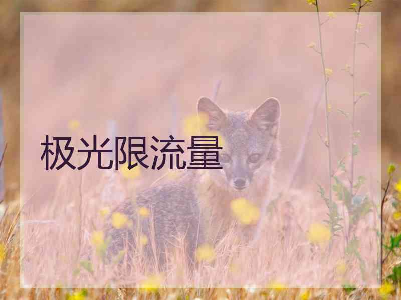 极光限流量