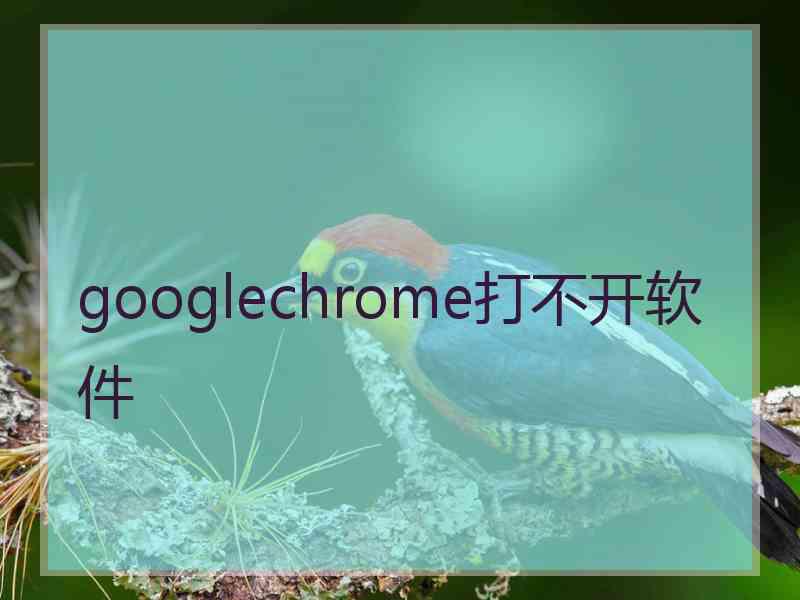 googlechrome打不开软件