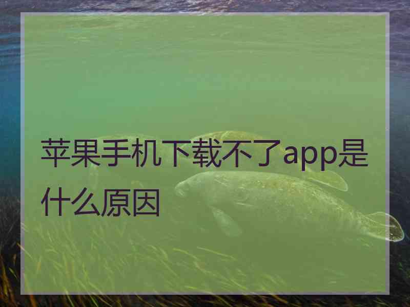 苹果手机下载不了app是什么原因