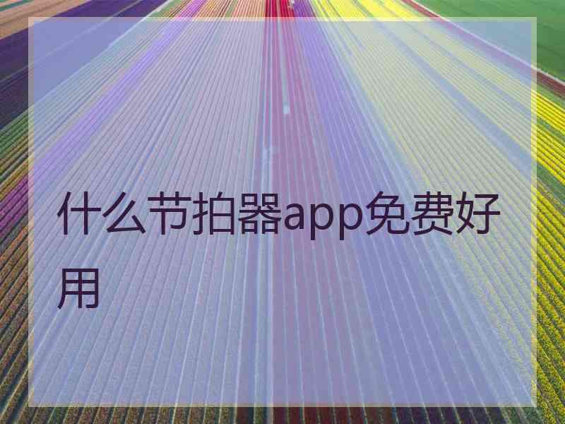 什么节拍器app免费好用