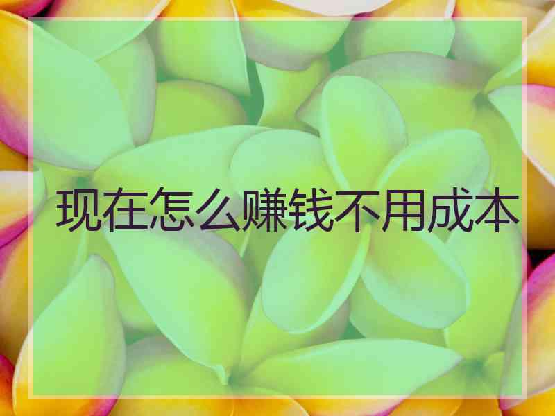 现在怎么赚钱不用成本