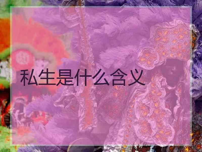 私生是什么含义