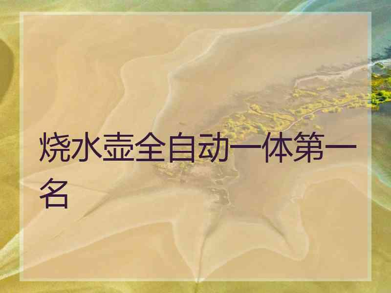 烧水壶全自动一体第一名