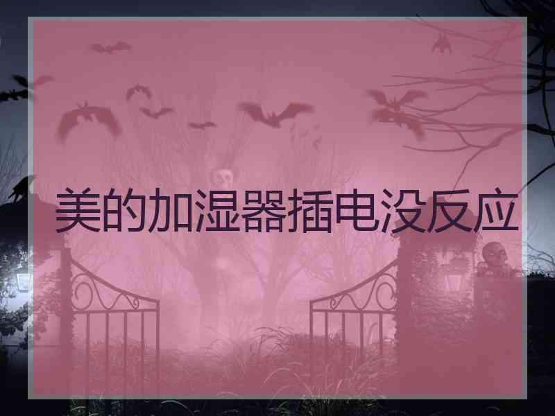 美的加湿器插电没反应