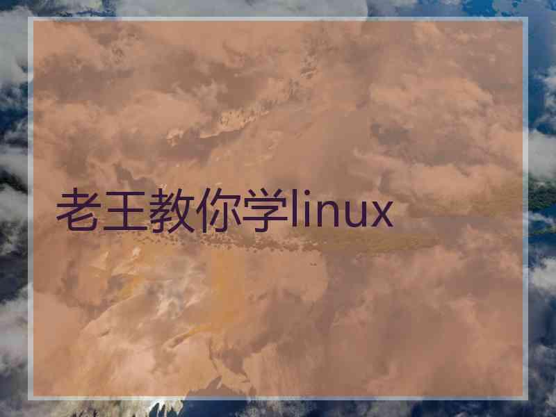 老王教你学linux