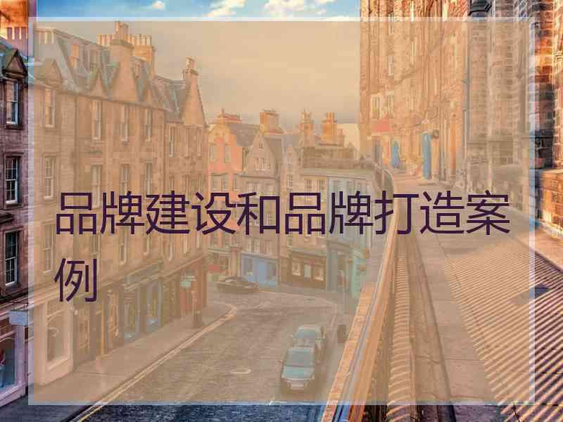 品牌建设和品牌打造案例