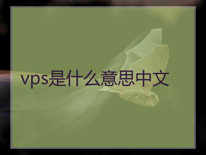 vps是什么意思中文