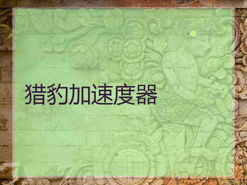 猎豹加速度器