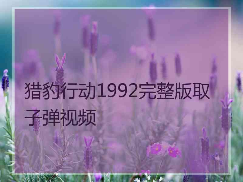 猎豹行动1992完整版取子弹视频