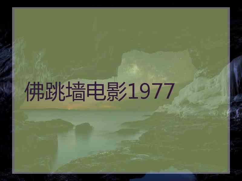 佛跳墙电影1977