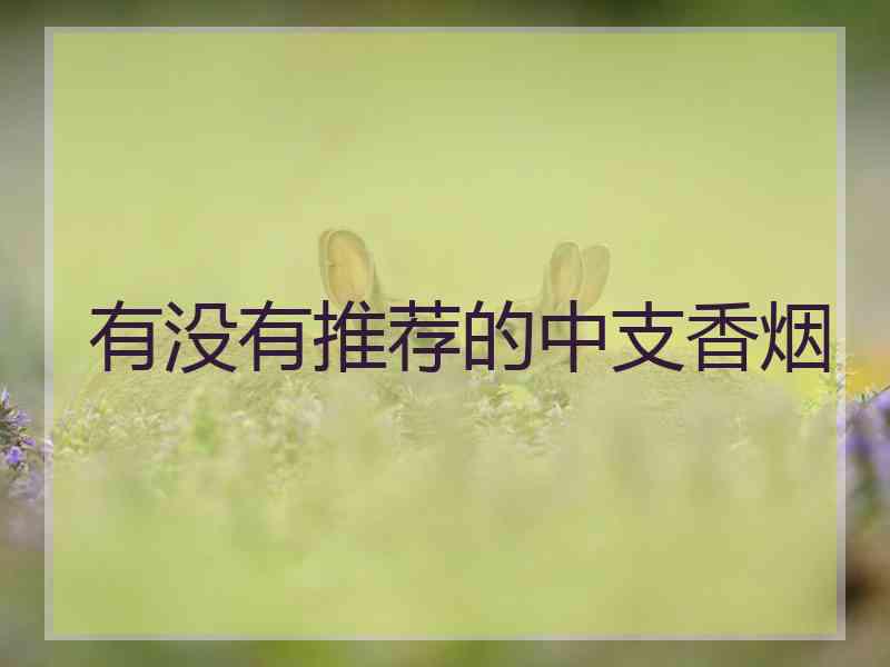 有没有推荐的中支香烟
