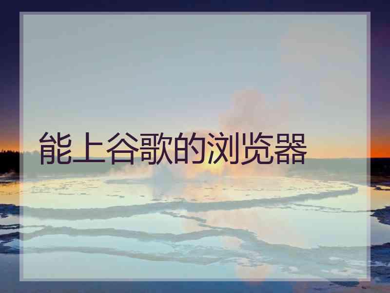 能上谷歌的浏览器