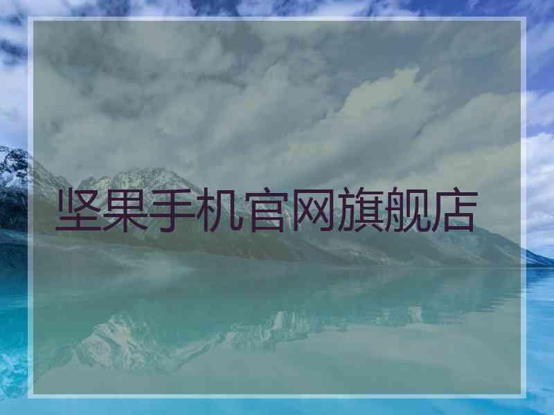 坚果手机官网旗舰店