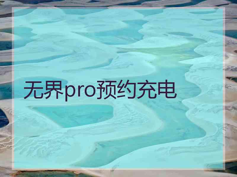 无界pro预约充电