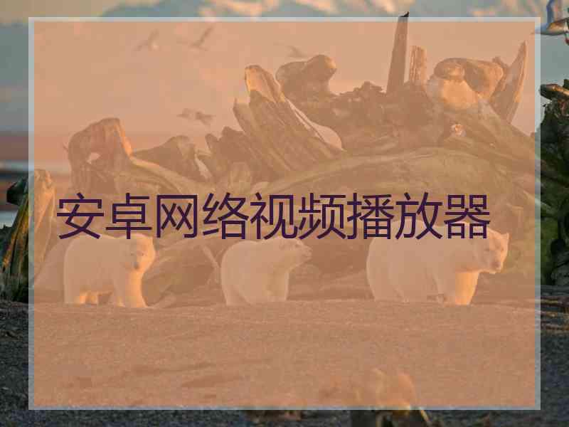 安卓网络视频播放器