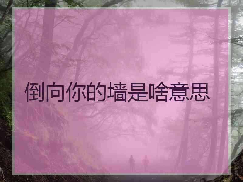 倒向你的墙是啥意思