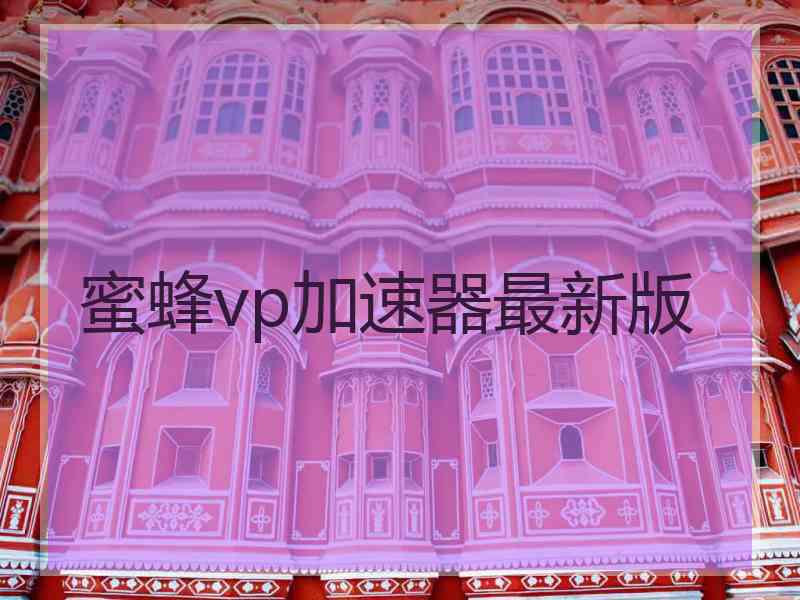 蜜蜂vp加速器最新版