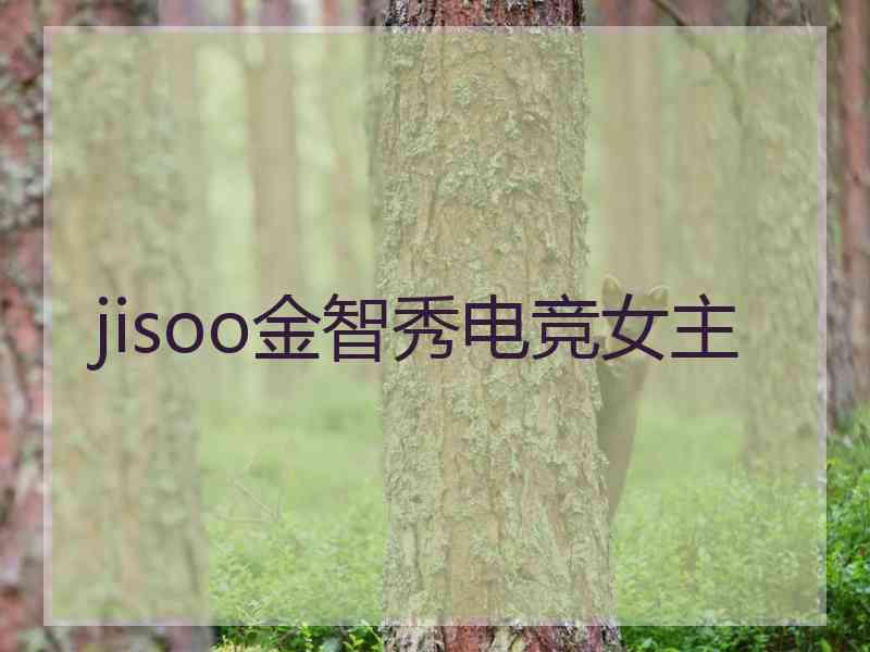 jisoo金智秀电竞女主
