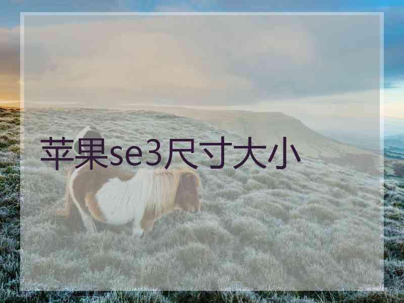 苹果se3尺寸大小