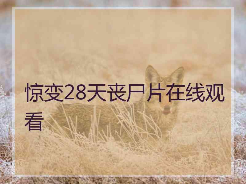 惊变28天丧尸片在线观看