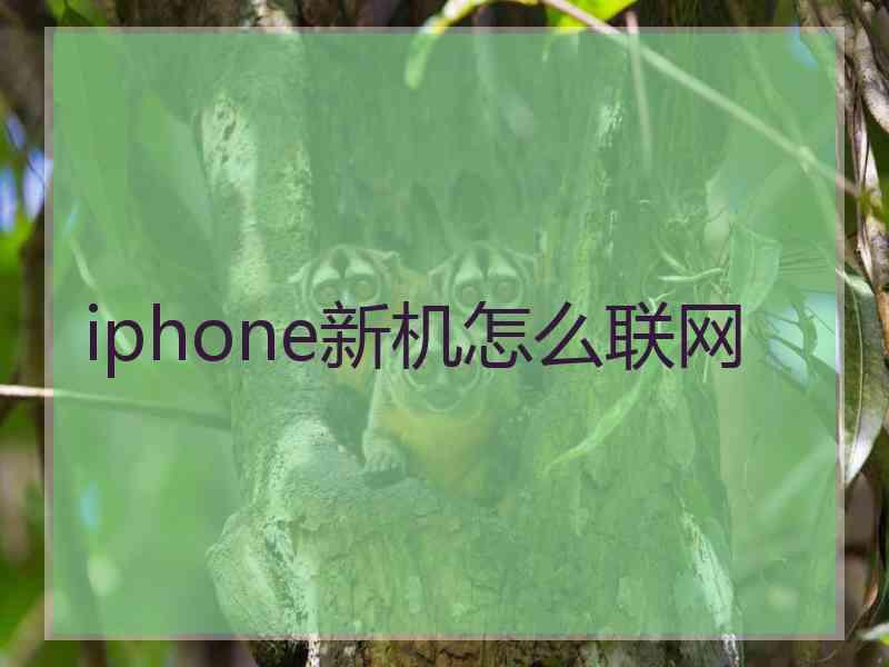 iphone新机怎么联网