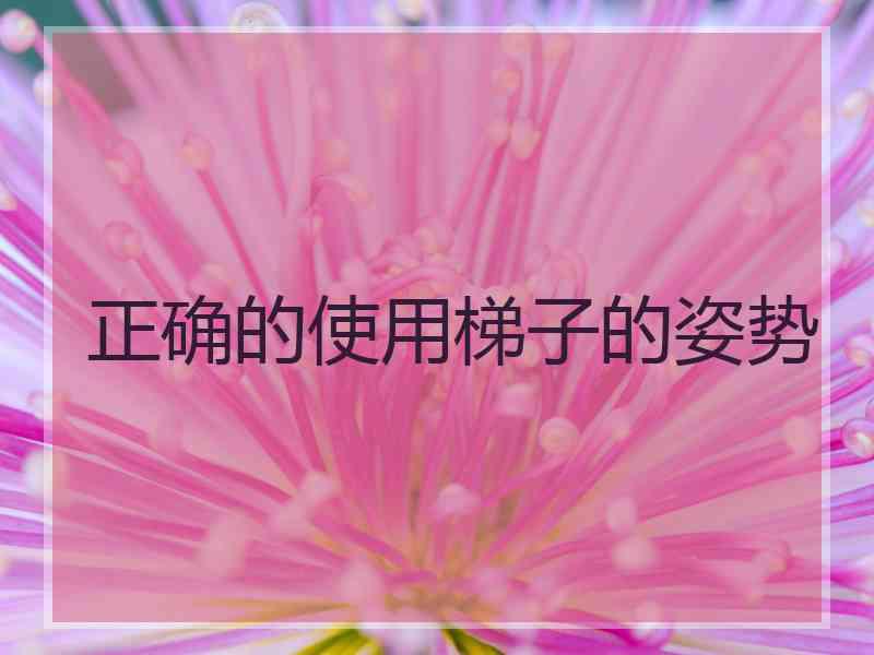 正确的使用梯子的姿势
