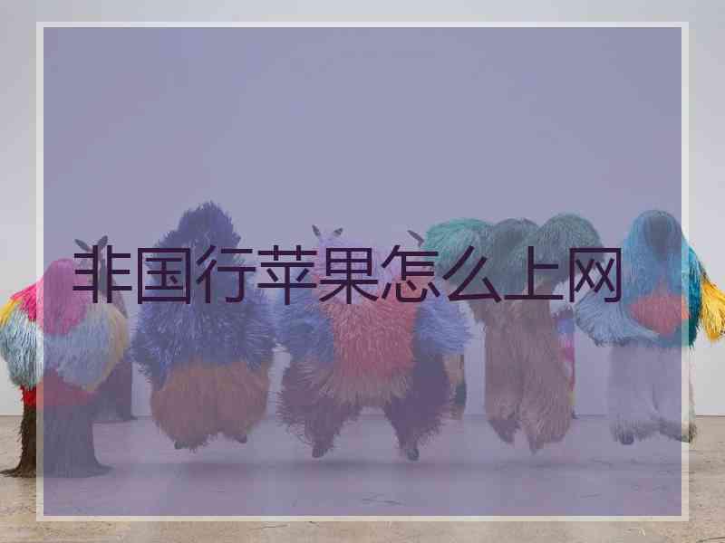 非国行苹果怎么上网