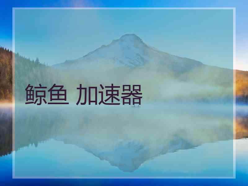 鲸鱼 加速器