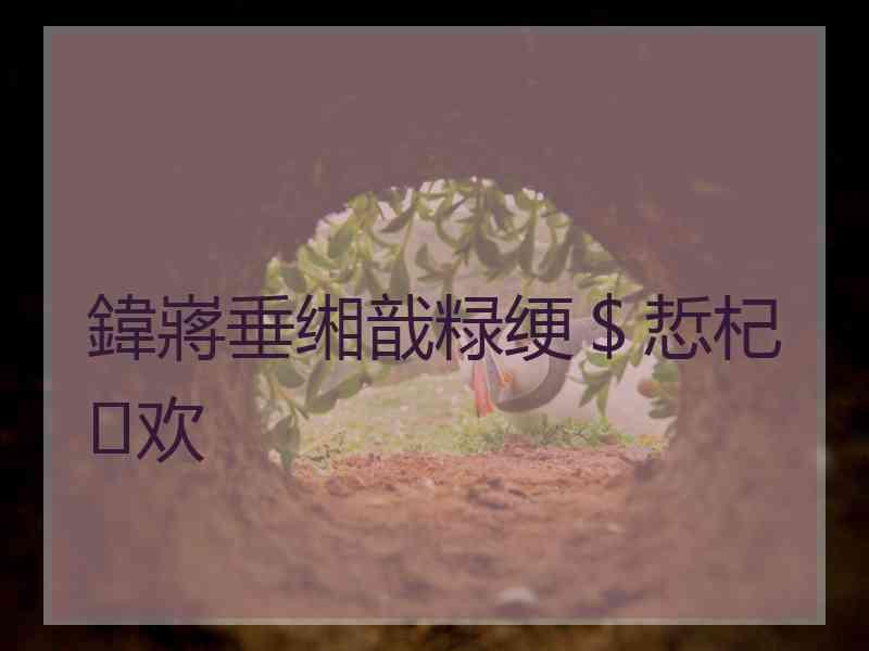 鍏嶈垂缃戠粶绠＄悊杞欢