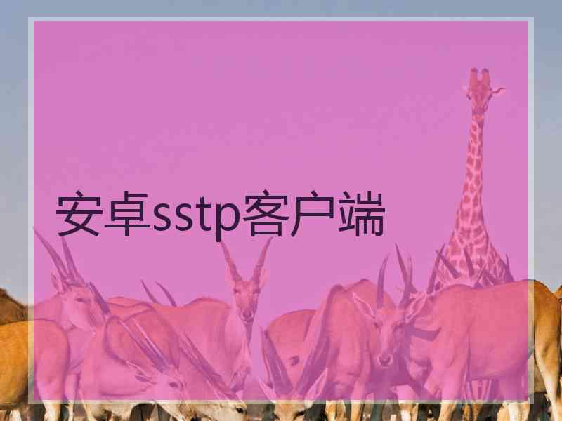 安卓sstp客户端