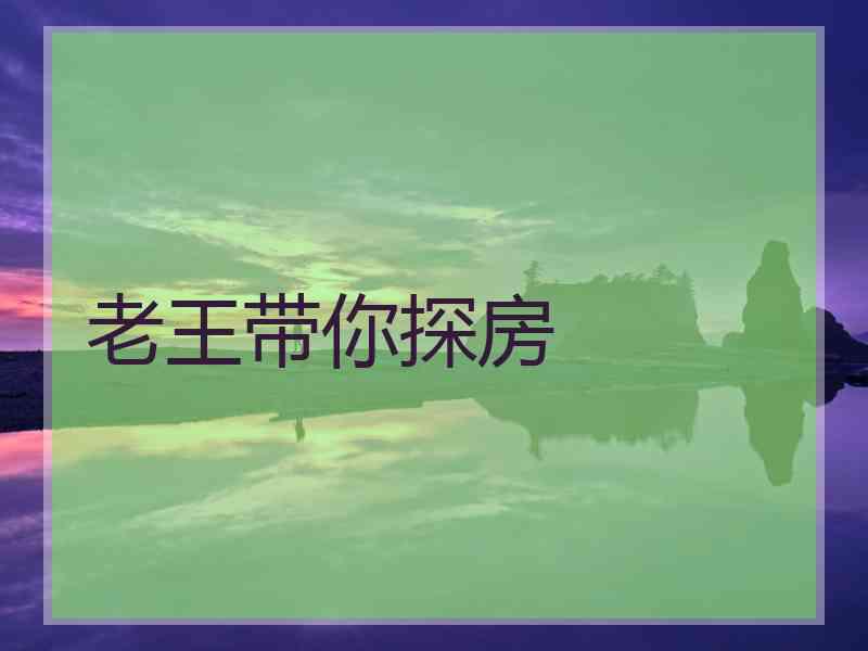 老王带你探房
