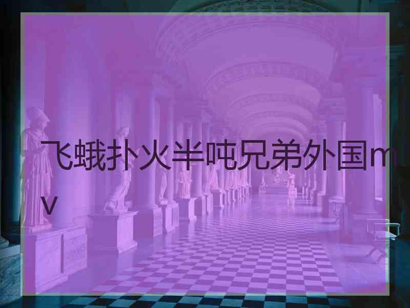 飞蛾扑火半吨兄弟外国mv