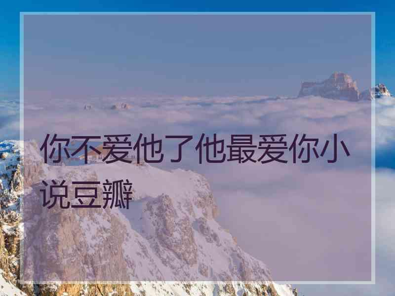 你不爱他了他最爱你小说豆瓣