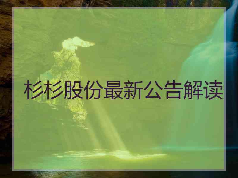 杉杉股份最新公告解读