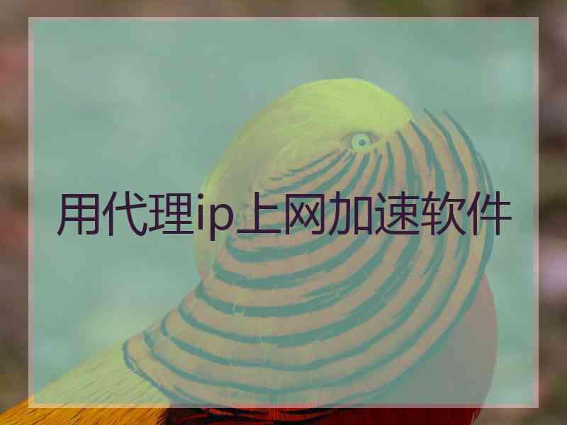 用代理ip上网加速软件