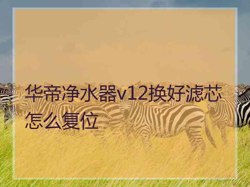 华帝净水器v12换好滤芯怎么复位