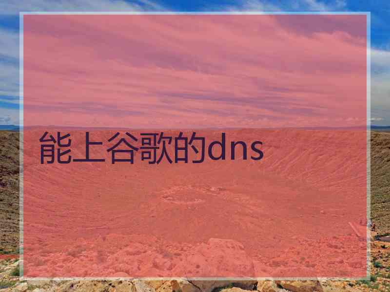能上谷歌的dns